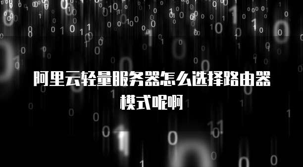 阿里云轻量服务器怎么选择路由器模式呢啊