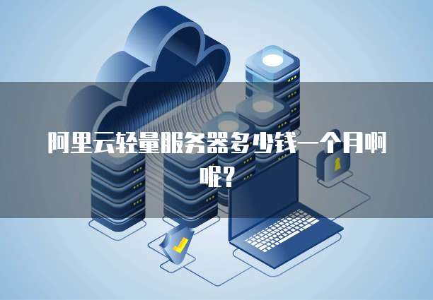 阿里云轻量服务器多少钱一个月啊呢?