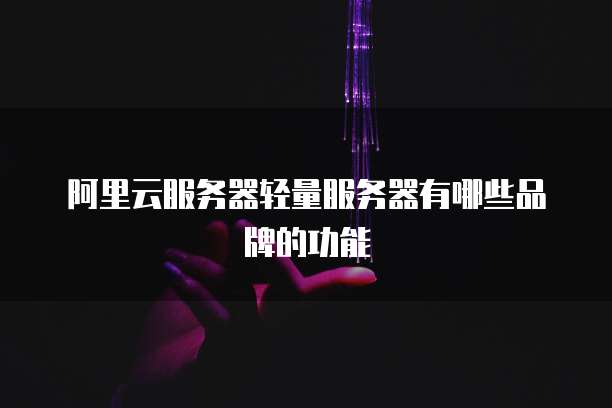 阿里云服务器轻量服务器有哪些品牌的功能