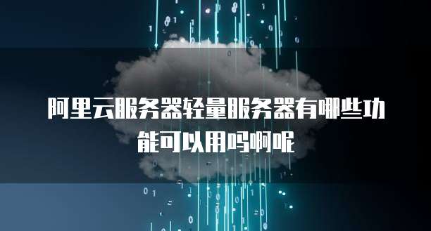 阿里云服务器轻量服务器有哪些功能可以用吗啊呢