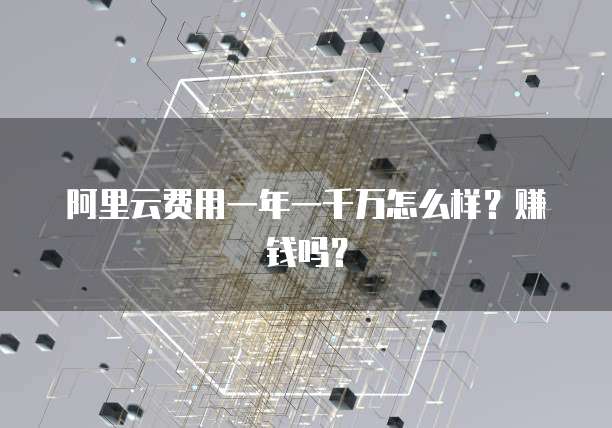 阿里云费用一年一千万怎么样?赚钱吗?