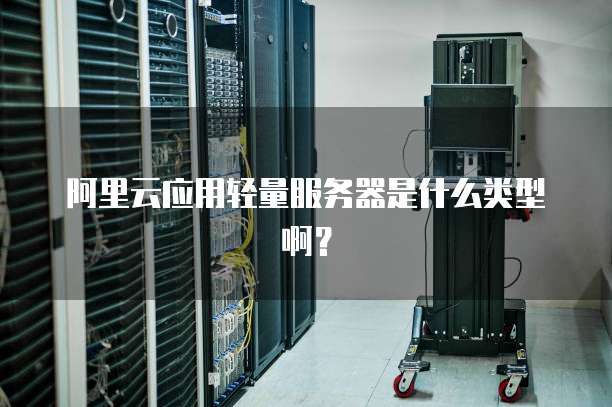 阿里云应用轻量服务器是什么类型啊?