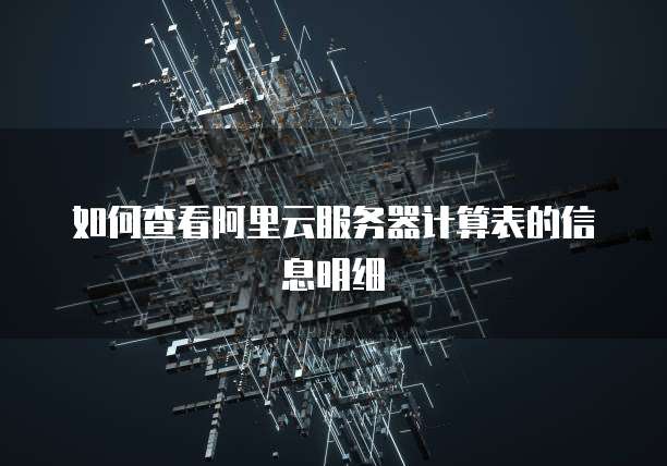 如何查看阿里云服务器计算表的信息明细