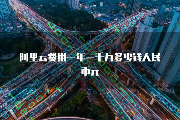 阿里云费用一年一千万多少钱人民币元