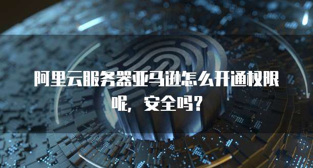 阿里云服务器亚马逊怎么开通权限呢,安全吗?