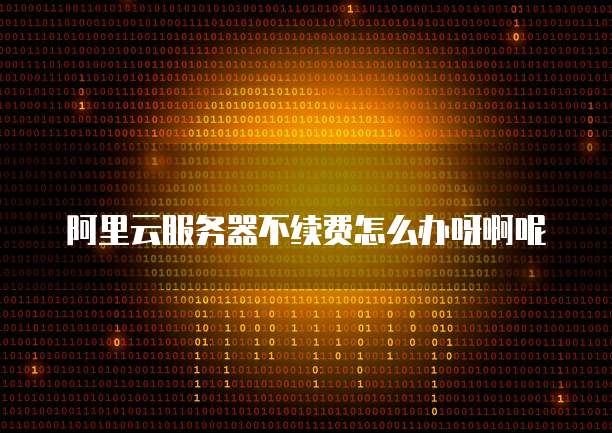 阿里云服务器不续费怎么办呀啊呢