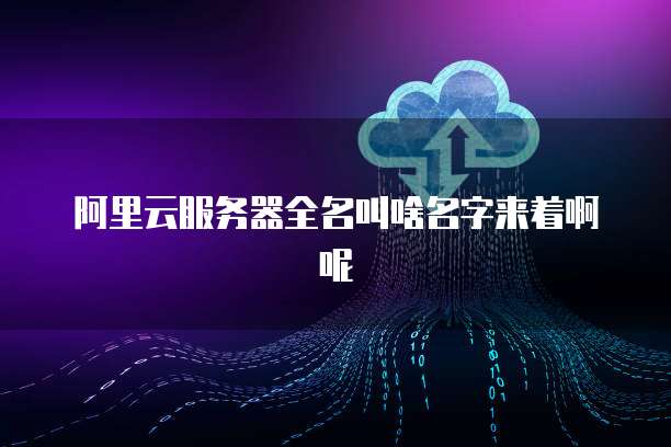 阿里云服务器全名叫啥名字来着啊呢