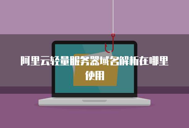 阿里云轻量服务器域名解析在哪里使用