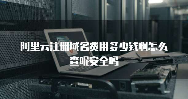 阿里云注册域名费用多少钱啊怎么查呢安全吗