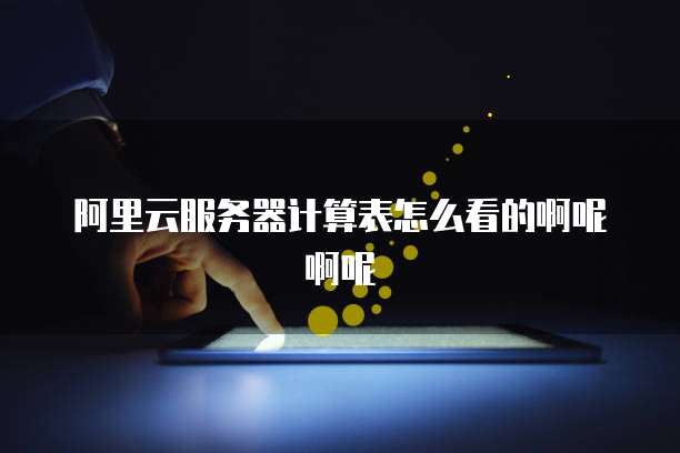 阿里云服务器计算表怎么看的啊呢啊呢