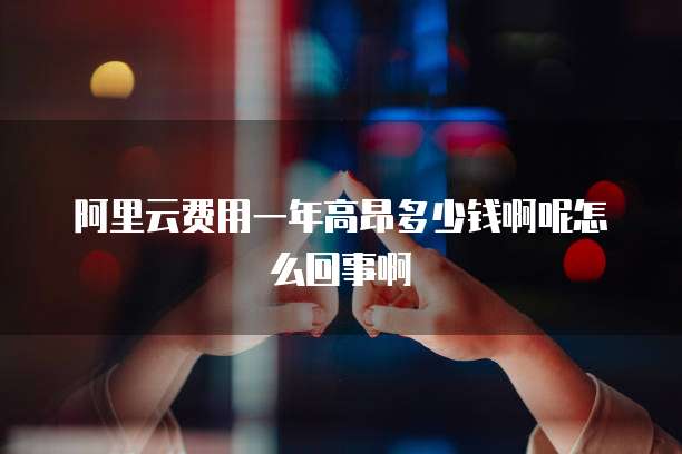 阿里云费用一年高昂多少钱啊呢怎么回事啊