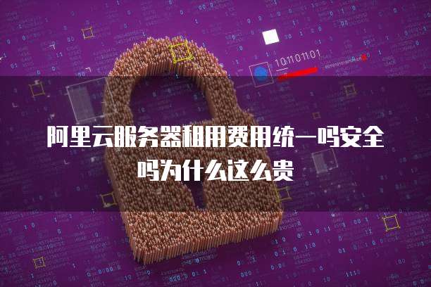 阿里云服务器租用费用统一吗安全吗为什么这么贵