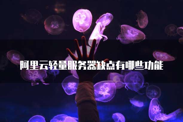 阿里云轻量服务器缺点有哪些功能