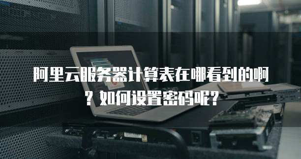 阿里云服务器计算表在哪看到的啊?如何设置密码呢?