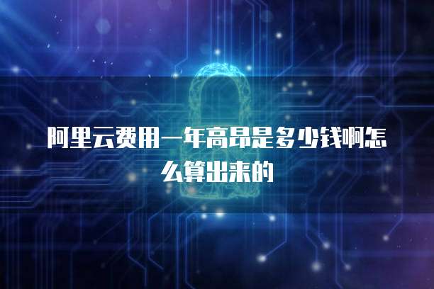阿里云费用一年高昂是多少钱啊怎么算出来的