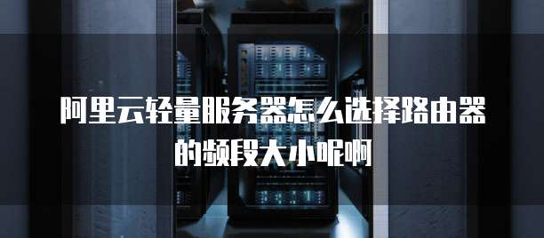 阿里云轻量服务器怎么选择路由器的频段大小呢啊