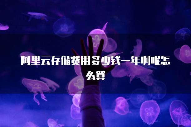 阿里云存储费用多少钱一年啊呢怎么算