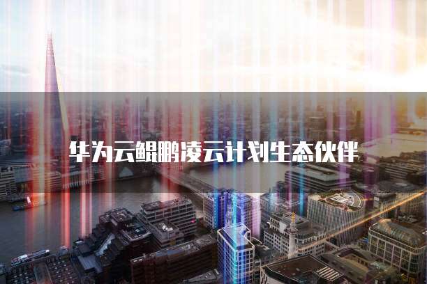阿里云用的哪家服务器啊