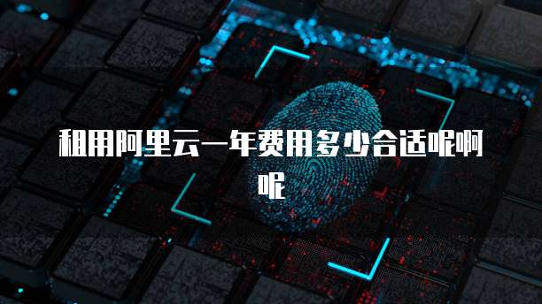 租用阿里云一年费用多少合适呢啊呢