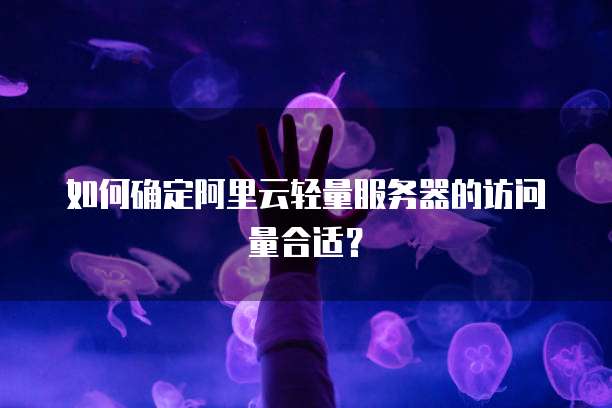 如何确定阿里云轻量服务器的访问量合适？