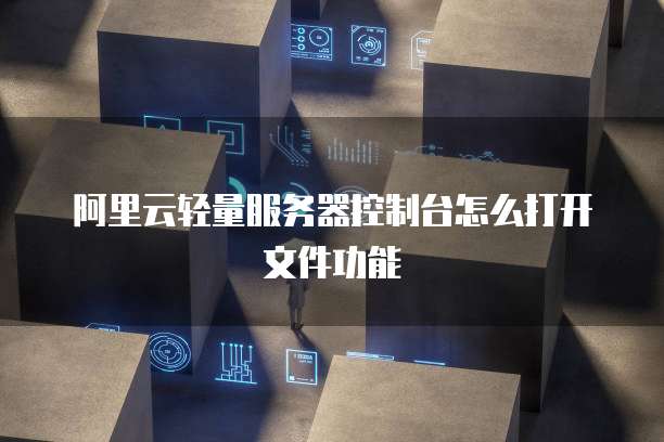 阿里云轻量服务器控制台怎么打开文件功能