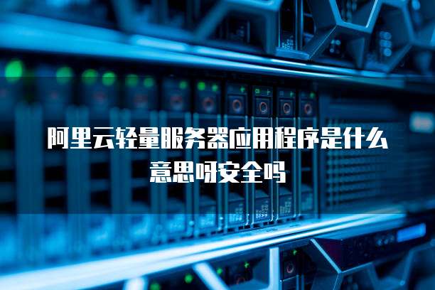 阿里云轻量服务器应用程序是什么意思呀安全吗