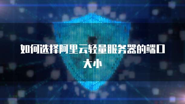 如何选择阿里云轻量服务器的端口大小