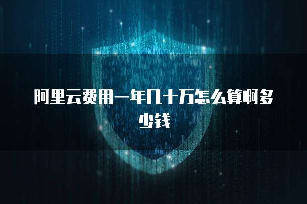 阿里云费用一年几十万怎么算啊多少钱