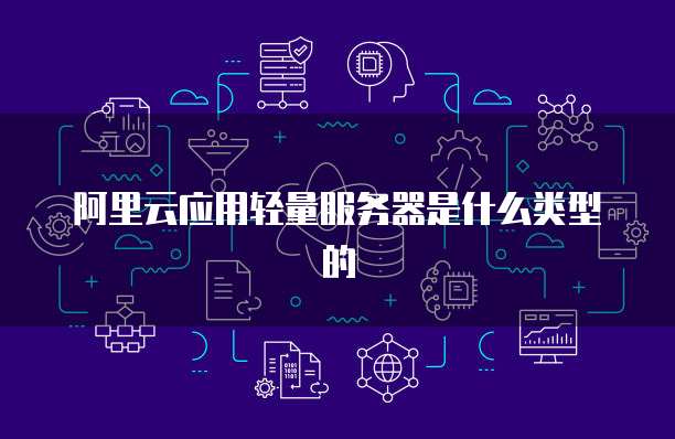 阿里云应用轻量服务器是什么类型的