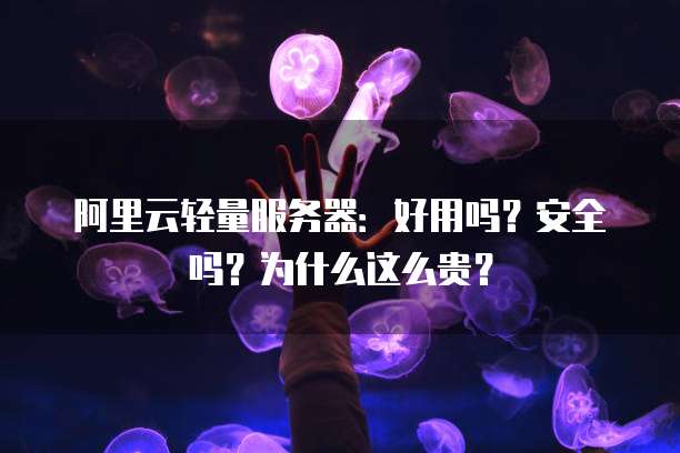 阿里云轻量服务器:好用吗?安全吗?为什么这么贵?