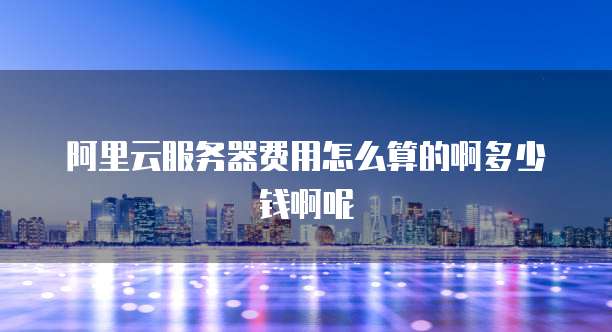 阿里云服务器费用怎么算的啊多少钱啊呢
