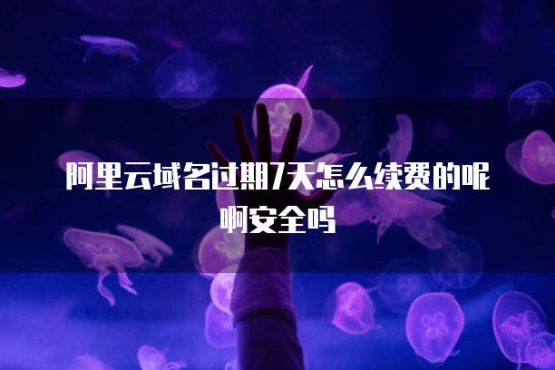 阿里云域名过期7天怎么续费的呢啊安全吗
