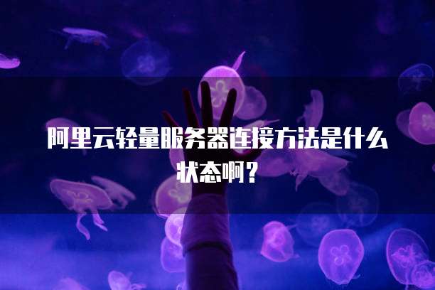 阿里云轻量服务器连接方法是什么状态啊?