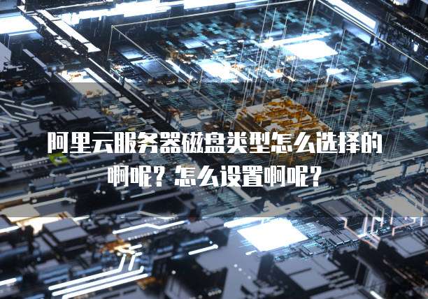 阿里云服务器磁盘类型怎么选择的啊呢?怎么设置啊呢?