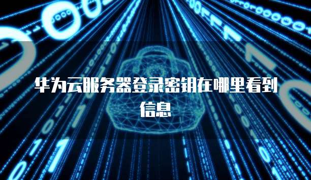 阿里云IP解析网址怎么打开的啊?