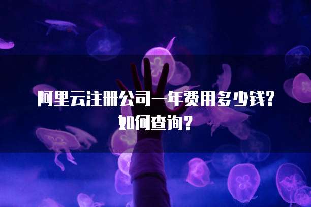 阿里云注册公司一年费用多少钱?如何查询?