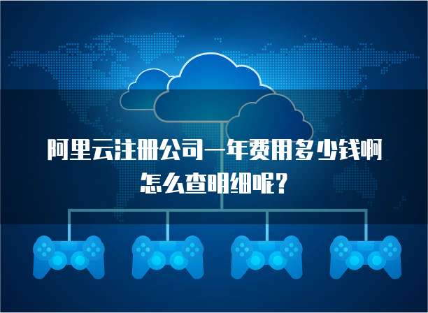 阿里云注册公司一年费用多少钱啊怎么查明细呢?