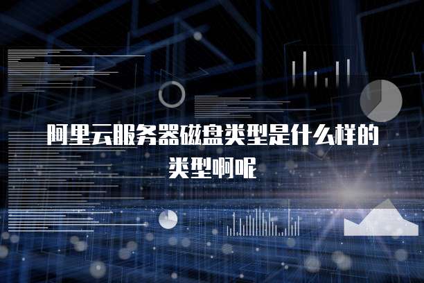 阿里云服务器磁盘类型是什么样的类型啊呢