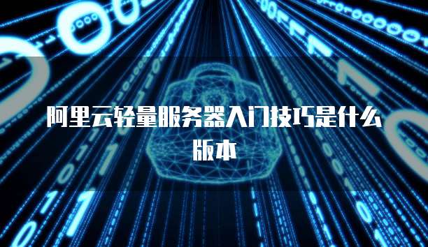 阿里云轻量服务器入门技巧是什么版本