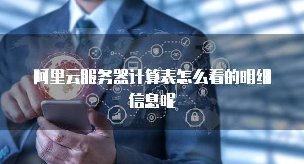 阿里云服务器计算表怎么看的明细信息呢