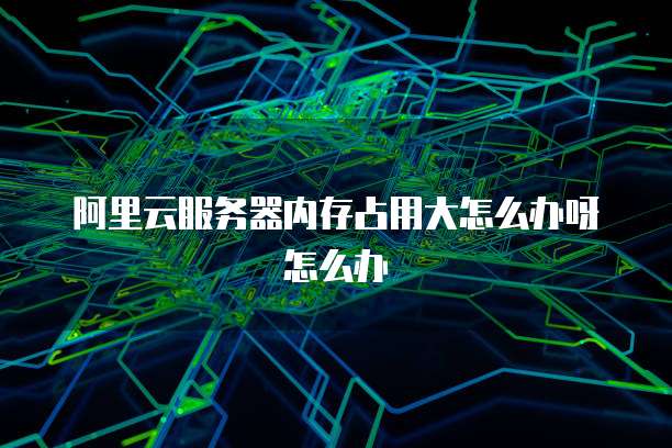 阿里云服务器内存占用大怎么办呀怎么办