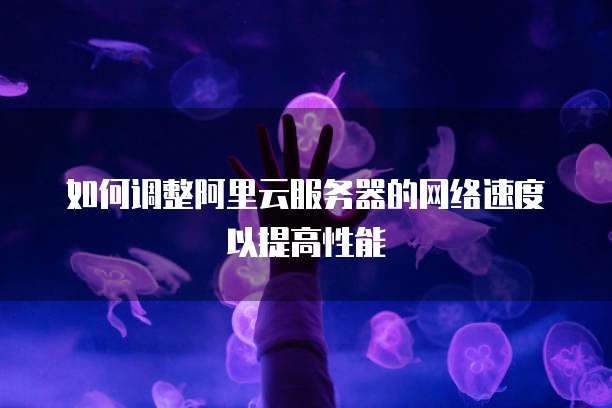 如何调整阿里云服务器的网络速度以提高性能