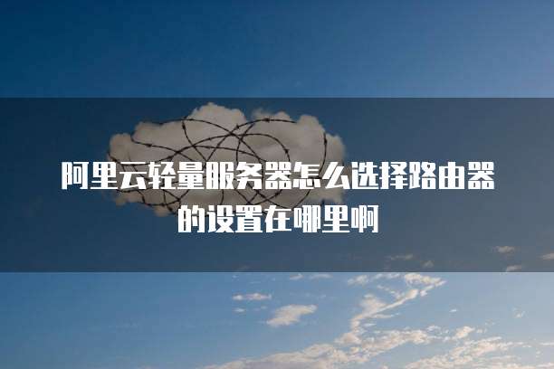 阿里云轻量服务器怎么选择路由器的设置在哪里啊