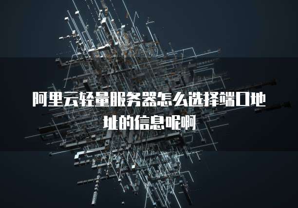 阿里云轻量服务器怎么选择端口地址的信息呢啊