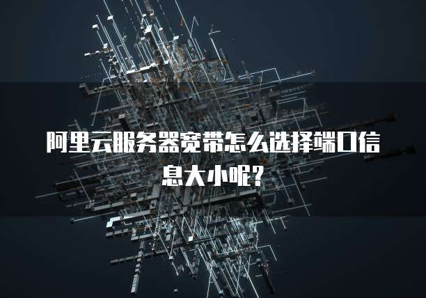 阿里云服务器宽带怎么选择端口信息大小呢?