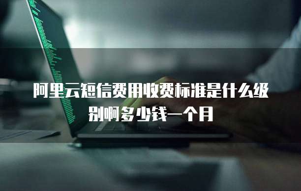 阿里云短信费用收费标准是什么级别啊多少钱一个月