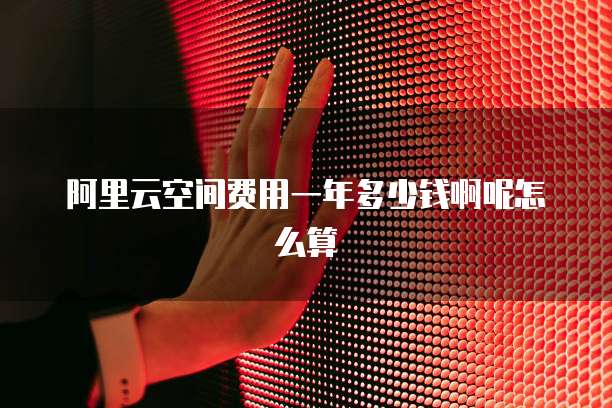 阿里云空间费用一年多少钱啊呢怎么算