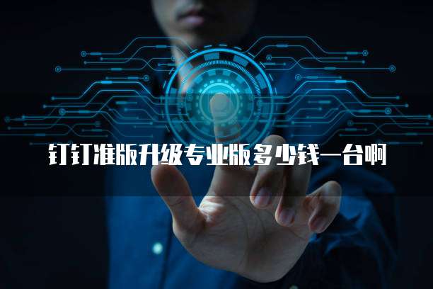 钉钉准版升级专业版多少钱一台啊