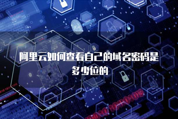 阿里云如何查看自己的域名密码是多少位的