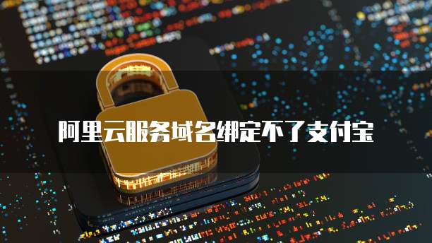 阿里云服务域名绑定不了支付宝